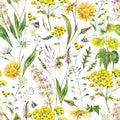 Vintage watercolor summer yellow meadow wildflowers seamless pattern