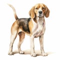 Vintage Watercolored Beagle Full Body Portrait Illustration