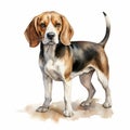 Vintage Watercolored Beagle - Full Body Single Figure Artwork