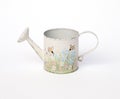 Vintage watering can Royalty Free Stock Photo