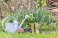 Beautiful gardening concept: Royalty Free Stock Photo