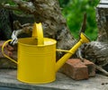 Vintage watering can Royalty Free Stock Photo