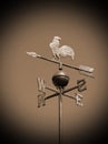 Vintage weathercock with sepia toned effect