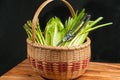 Vintage weaved reed basket of organic home grown vegetables Royalty Free Stock Photo