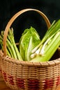 Vintage weaved reed basket of organic vegetables
