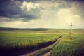 Vintage Wheat Field with Dirt Road