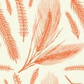 Vintage wheat seamless pattern. Rye background. Corn or Cereal for Bakery poster. Hand drawn engraved sketch for print