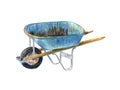 Vintage wheelbarrow for gardening Royalty Free Stock Photo