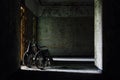 Vintage Wheelchair in Hallway - Abandoned Hospital / Sanitarium - New York