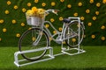 Vintage white bicycle with baskets of flowers among the garden. Beautiful decoration on natural background