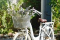 Vintage white bicycle with bouquet of flowers in basket. Royalty Free Stock Photo