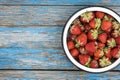 Vintage white enamel bowl full of freshly picked ripe red strawberries on the blue rustic wooden background. Summer berries rich Royalty Free Stock Photo