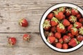 Vintage white enamel bowl full of freshly picked ripe red strawberries on the rustic wooden background at sunny day. Summer Royalty Free Stock Photo