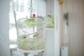 Vintage white ornated metal cage at wedding reception with white