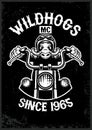 Vintage wildhog motorcycle club mascot in grunge texture style Royalty Free Stock Photo