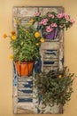 Vintage window with closed wooden shutters and fresh flowers