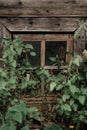 Vintage window, russian architecture, single mood, wooden window, brown background Royalty Free Stock Photo