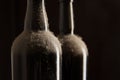 Vintage wine - Dusty bottles