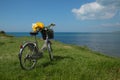 Vintage woman's bicycle with flowers on seaside on sunny sprin