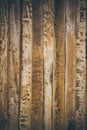 Vintage wood background. Rough wood texture and background for designers. Close up view of abstract wood texture. Old vintage wood Royalty Free Stock Photo