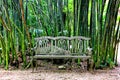 Vintage wood bench in garden with bamboo background Royalty Free Stock Photo