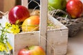 Vintage wood box in Provence style with red yellow apples, pears on straw, basket with fruits