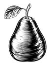 Vintage Woodcut Pear