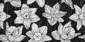 Vintage woodcut white daffodil flower silhouettes on black pinstripes background seamless pattern