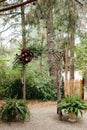 Vintage wooden arch wtih red and pink roses - outdoor wedding ceremony location in coniferous forest wtih classic bentwood chairs