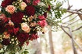 Vintage wooden arch wtih red and pink roses - outdoor wedding ceremony location in coniferous forest wtih classic bentwood chairs