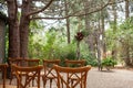 Vintage wooden arch wtih red and pink roses - outdoor wedding ceremony location in coniferous forest wtih classic bentwood chairs