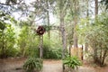 Vintage wooden arch wtih red and pink roses - outdoor wedding ceremony location in coniferous forest wtih classic bentwood chairs