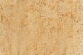 vintage Wooden Background with Distinctive Stained Paint Spots A rustic and grunge texture of rough wooden surface showcasing