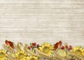 Vintage wooden background with golden autumn border