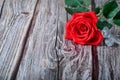 Vintage wooden background with a flower red rose Royalty Free Stock Photo