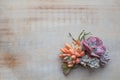 Vintage wooden background with succulent echeveria flowers, top view Royalty Free Stock Photo