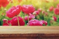 Vintage wooden board table in front of summer flowers field. product display and picnic concept Royalty Free Stock Photo