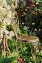 Vintage wooden chair in beautiful green garden. Decorative installation Royalty Free Stock Photo