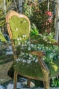 Vintage wooden chair in beautiful green garden. Decorative installation Royalty Free Stock Photo