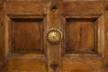 Vintage wooden door with brass door knob