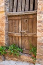 Vintage wooden door decorated with plants in pots Royalty Free Stock Photo