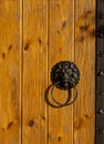 Vintage wooden door with metal handles in the shape of a lion`s head Royalty Free Stock Photo