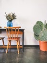 Vintage wooden elementary school desk with two wooden chairs, a dried flower arrangement in a blue vase against a white wall Royalty Free Stock Photo