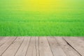 Vintage wooden floor beside green rice field at sunrise Royalty Free Stock Photo