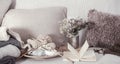 Vintage wooden knitting needles and threads on a cozy sofa with pillows and a vase of flowers. Open book for reading Royalty Free Stock Photo