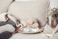 Vintage wooden knitting needles and threads on a cozy sofa with pillows and a vase of flowers. Open book for reading Royalty Free Stock Photo