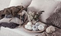 Vintage wooden knitting needles and threads on a cozy sofa with pillows and a vase of flowers Royalty Free Stock Photo