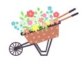 Vintage wooden polka dots cart with flowers. Cartoon wheelbarrow with gardening flowers