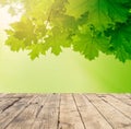 Vintage wooden table, green leaves and blurred nature background Royalty Free Stock Photo