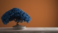 Vintage wooden table shelf with pebble and potted bloom bonsai, blue leaves, flowers, orange colored background with copy space,